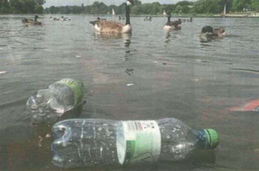 Schwäne und Flaschen schwimmen auf einem See.