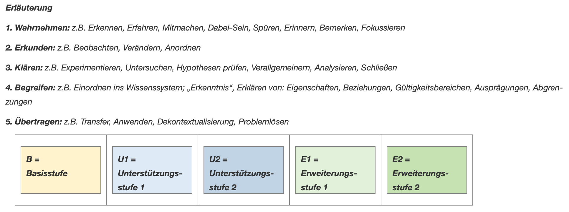 5 Stufen nach Wember