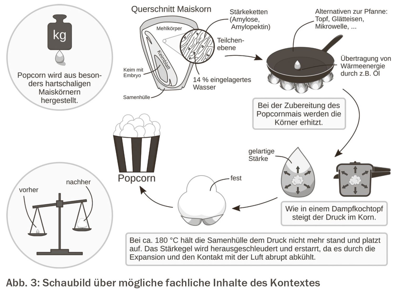 Schaubild über mögliche fachliche Inhalte des Kontextes