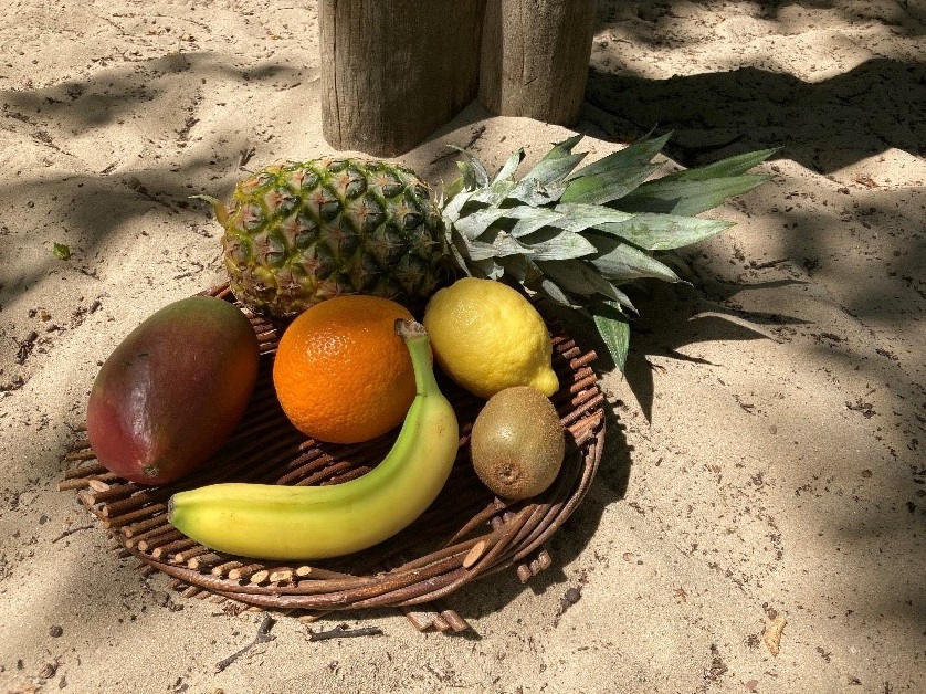 Bild einer Obstkiste. Enthalten sind Ananas, Zitrone, Orange, Papaya, Mango und eine Banane