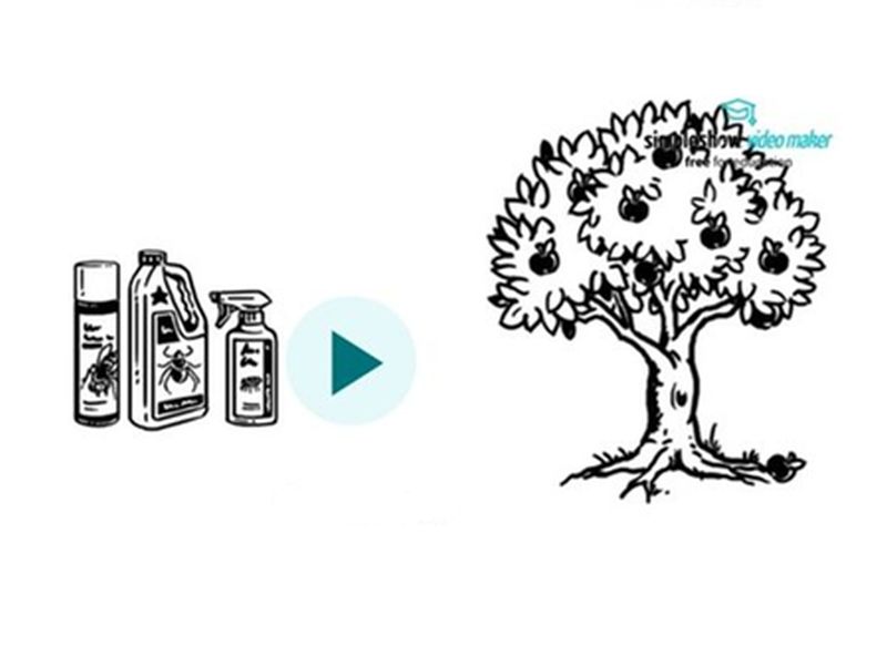 Titelbild diskutieren