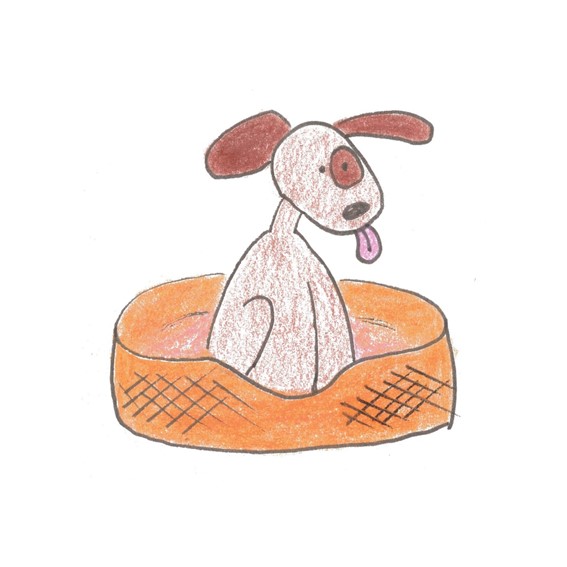 Noah's dog in basket.